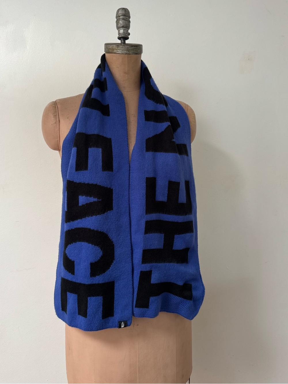 THE NORTH FACE logo scarf